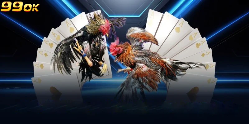 trải nghiệm người chơi đá gà 99ok chân thực